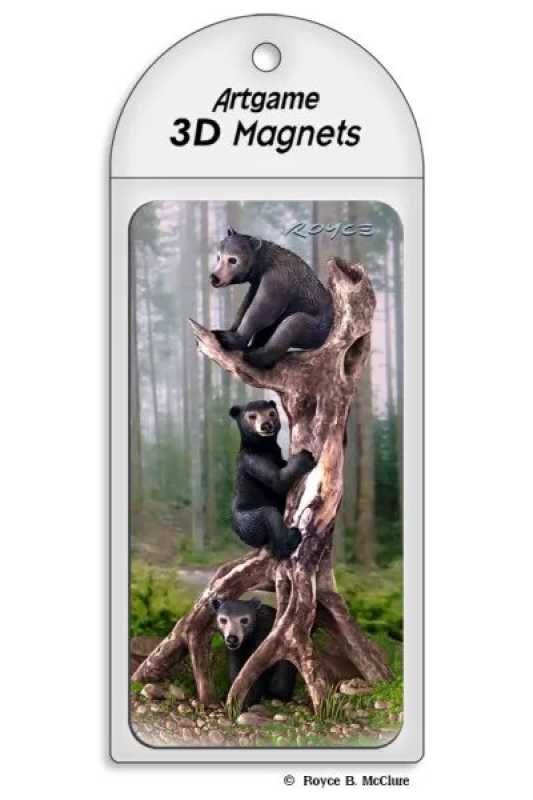 3D Magnet Schwarzbären